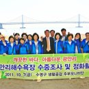 수영정화