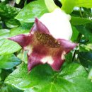 산포마을 이미지