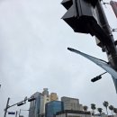 양씨네제주전복칼국수본점 | 제주시 전복요리 전문점: 양씨네 제주전복칼국수 본점(내돈내산)