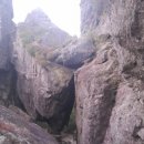 산약초와 산행 | 서대산(西臺山)관광 명소