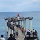 아모레관광 이미지