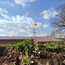 풀꽃농장 이미지