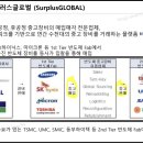 (주)서플러스글로벌 이미지