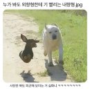 호두프레소