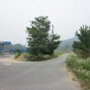 노성주유소 티스토리