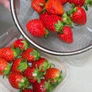 사계절마트청과 이미지