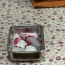 영일당한의원 이미지