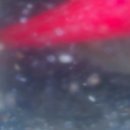 엄지치킨 이미지