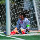 태장초교 이미지