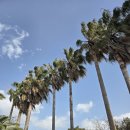 예래동-7 | 제주 맹글당 제주 서귀포 감성카페 홈메이드디저트맛집