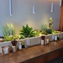 마마도마 이미지