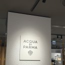 파르마 | “(내돈내산)잠실 핫플! 아쿠아디파르마 옐로우카페 방문 후기💛 인테리어부터 커피까지 완벽”