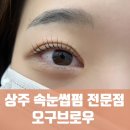 오구브로우 이미지