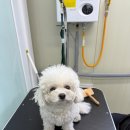 예몽 이미지