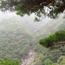철환목장 | 천성산