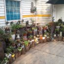 들꽃어린이집 이미지