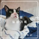 양포가스 | [3월]일상기록-잔잔하게 흘러간 한 달 💙 (+그만 일하고 싶어)