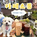 은행나무식당 - 달성군 우록2길 5 | [인천대공원카페추천] 장수동 만의골 카페소풍 천연기념물 은행나무 주차 및 메뉴 후기