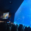 77수족관 이미지