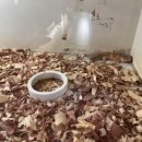 한나래유치원 이미지