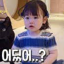 다홍 Daum카페