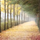 상동역2번출구 이미지