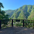 성왕로 옥천-12 | 대전 근교 일출 산행 ⛰️ 어깨춤이 절로나는 명품 운해 맛집 ☁ (+어죽 맛집) :: 옥천 어깨산