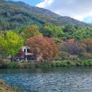 저수지목장 | 공주 단풍여행 불장골저수지 대형카페 엔학고레 후기