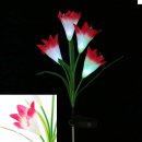 태양유통 이미지