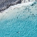 골든코스트 이미지