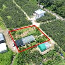 장유농장 이미지