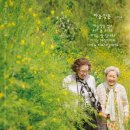 소풍 - 제주시 월정1길 23 | 소풍