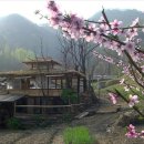 벌랏마을 선우네 이미지