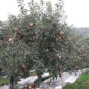 학골농장 이미지