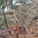 가람농산 앞(면사무소 건너) | 서울 근교 금선사 템플스테이 가는 길과 위치 소개