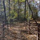 반송 탄요 유적공원 탄요지 | 반송 탄요유적공원 탄요지