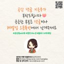 (실습)The 좋은 장 담그기 | [공지] [선착순 모집] 1인 비즈니스를 위한 노션 레벨업 스쿨 – 3주 완성 챌린지(11월 27일 개강)