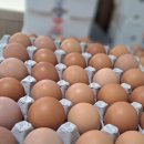 소란농장 이미지