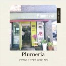 플루메리아 | ​[공주/카페] 빈티지한 감성과 편안함이 공존하는 곳, ‘플루메리아’ 후기