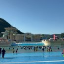 강원도 하이원 워터월드 성수기 티켓 꿀팁🍯