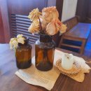 청춘연어 이미지