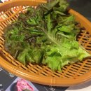 생고기제작소 아산터미널점 이미지