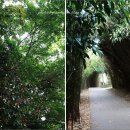 태풍 게임랜드 이미지