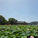 덕진공원 관리사무소 | 전주 덕진공원 연꽃 후기｜연화정 한옥도서관, 숲놀이터, 주차 총정리
