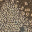 천인지한의원 이미지