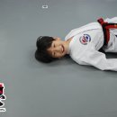 용인대 정심태권도 이미지