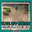 유정리 | 경기도 광주 벌목업체 산소 주변 나무 제거