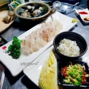 신바다횟집 | [조치원 맛집] 바다포차 :: 모듬해물, 산오징어통찜, 물회
