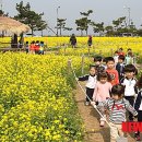 호미곶광장 이미지