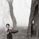 1960 이미지